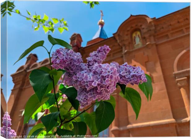 lilac flower, against the blue sky and the cross of the church Canvas Print by Vitalii Kryvolapov