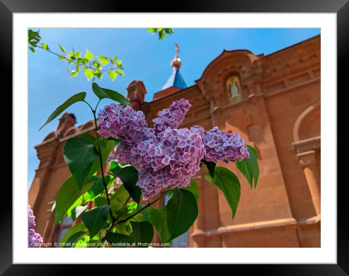lilac flower, against the blue sky and the cross of the church Framed Mounted Print by Vitalii Kryvolapov