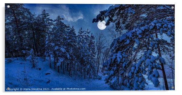 Winter night landscape with snow-covered pine tree Acrylic by Maria Vonotna