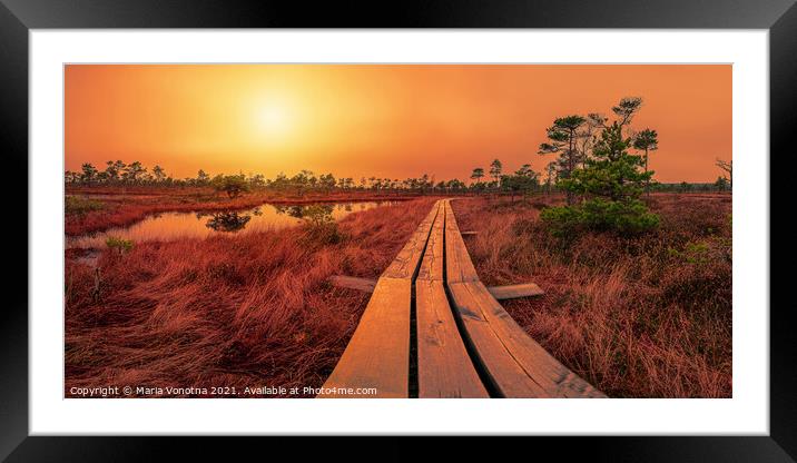 Sunset over bog with wooden path, small ponds and pine trees. Co Framed Mounted Print by Maria Vonotna