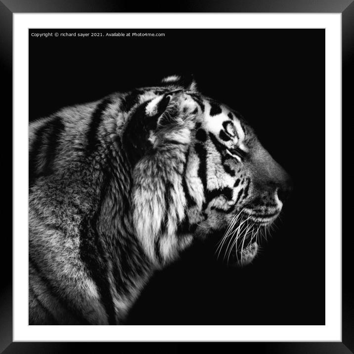 Blink in Black and White Framed Mounted Print by richard sayer