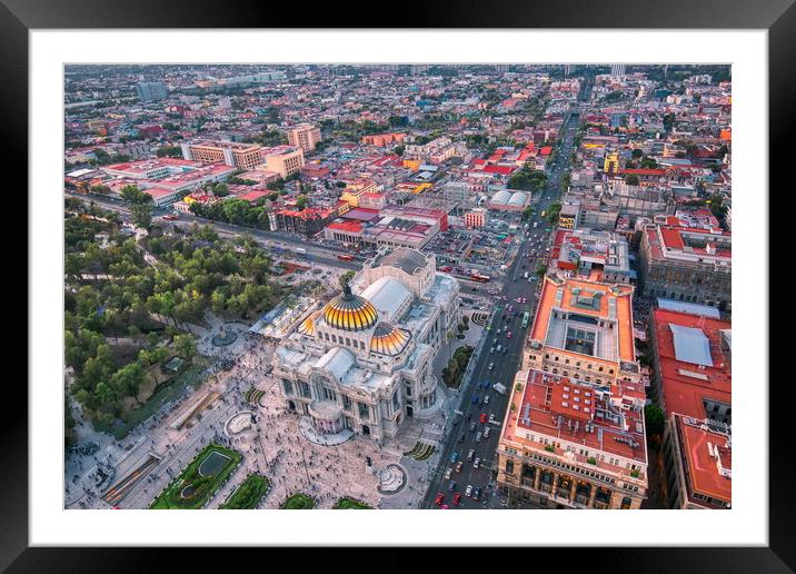 Panoramic view of Mexico City  Framed Mounted Print by Elijah Lovkoff