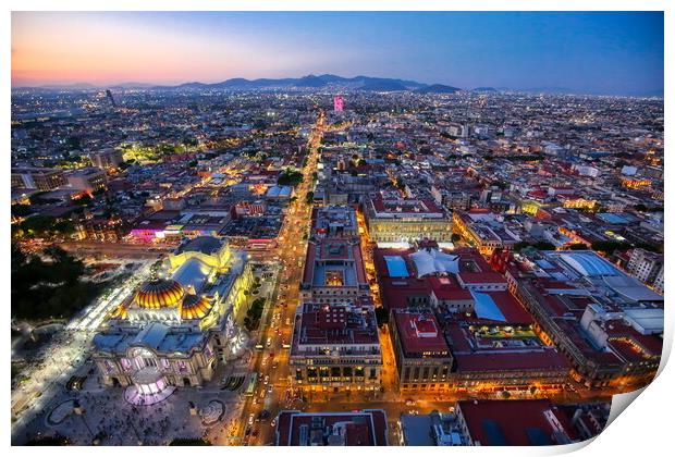 Panoramic view of Mexico City Print by Elijah Lovkoff