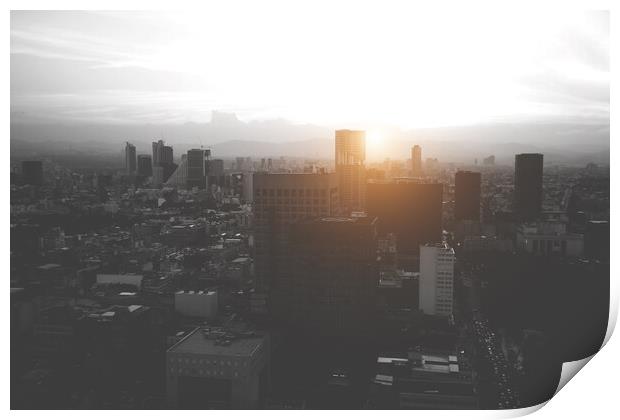 Panoramic view of Mexico City from the observation deck at the t Print by Elijah Lovkoff