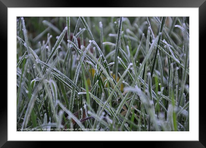 Frosty Grass Framed Mounted Print by Sam Robinson