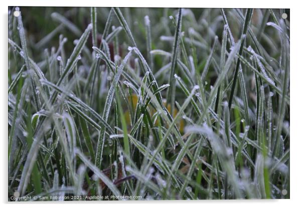 Frosty Grass Acrylic by Sam Robinson
