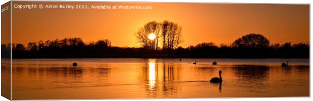 Sunset Panoramic  Canvas Print by Aimie Burley