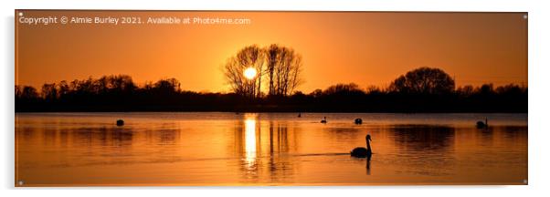 Sunset Panoramic  Acrylic by Aimie Burley