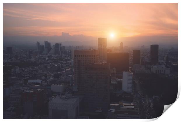 Panoramic view of Mexico City  Print by Elijah Lovkoff