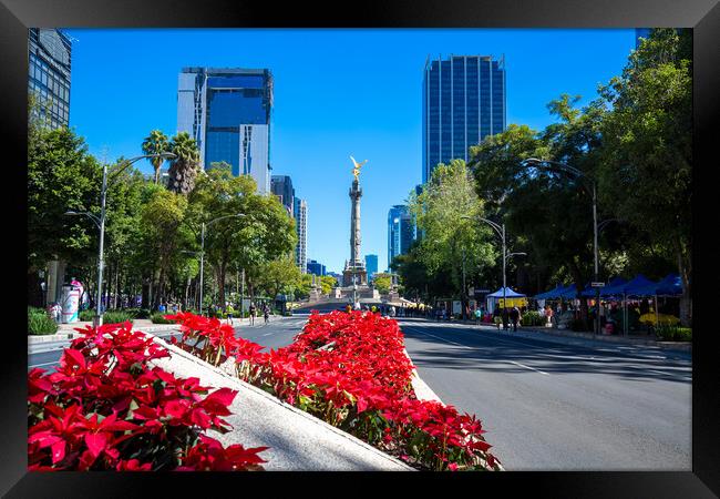 Mexico City Financial center and business district close to Paseo De Reforma Framed Print by Elijah Lovkoff