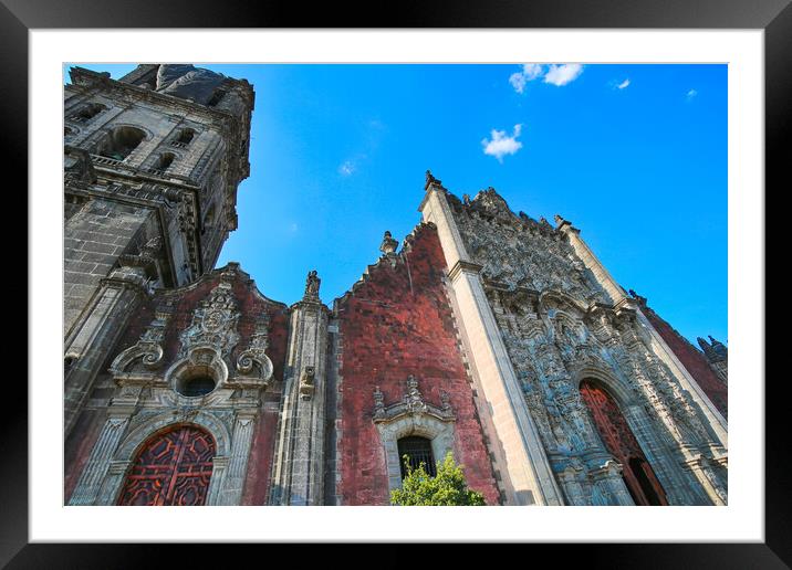Mexico City, Metropolitan Cathedral of the Assumption of Blessed Framed Mounted Print by Elijah Lovkoff