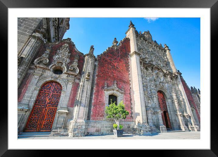 Mexico City, Metropolitan Cathedral Framed Mounted Print by Elijah Lovkoff