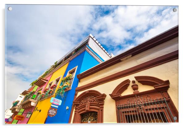 Monterrey, Colorful historic buildings  Acrylic by Elijah Lovkoff