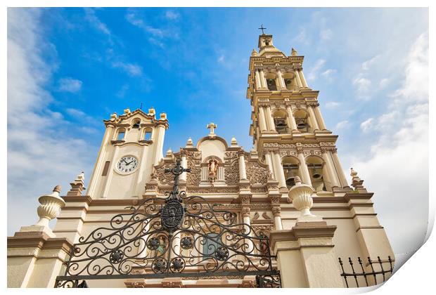 Monterrey, Macroplaza, Metropolitan Cathedral Print by Elijah Lovkoff