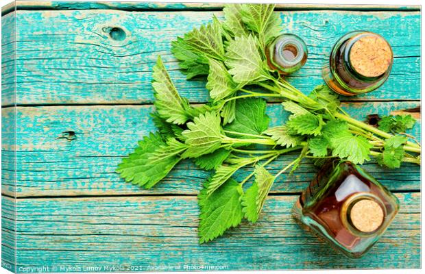 Glass bottle of nettle tincture Canvas Print by Mykola Lunov Mykola