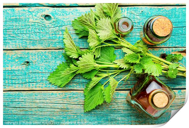 Glass bottle of nettle tincture Print by Mykola Lunov Mykola