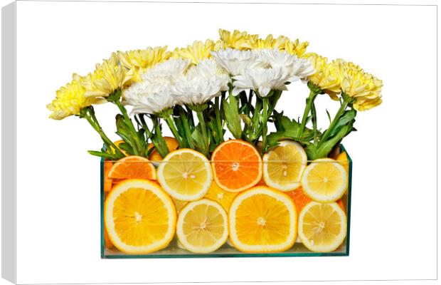 Floral still life in an aquarium with orange and lemon slices, isolated on white background. Canvas Print by Sergii Petruk