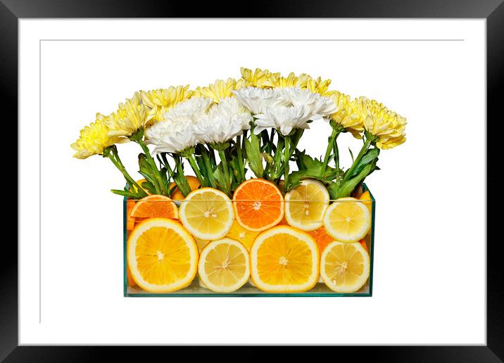 Floral still life in an aquarium with orange and lemon slices, isolated on white background. Framed Mounted Print by Sergii Petruk
