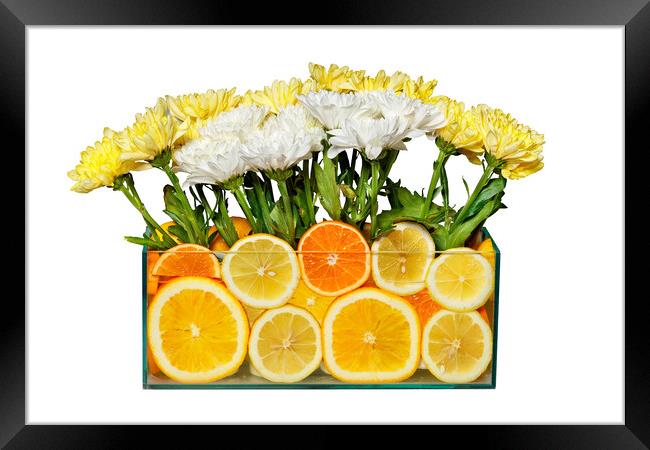 Floral still life in an aquarium with orange and lemon slices, isolated on white background. Framed Print by Sergii Petruk