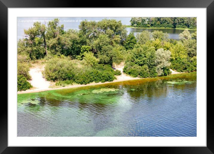 Along the river bank on the surface, the water is covered with a film of blue-green algae. Copy space. Framed Mounted Print by Sergii Petruk