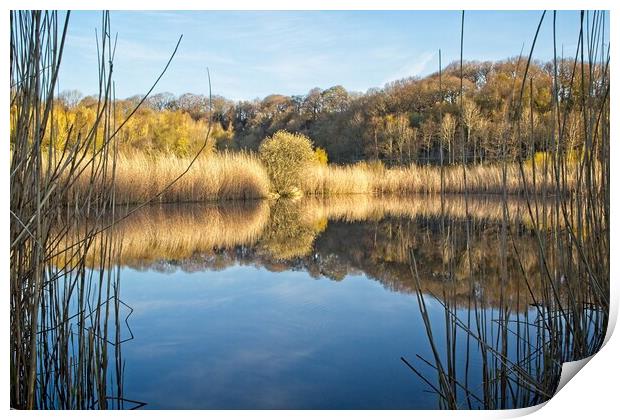 Clockburn Lake Reflections Print by Rob Cole