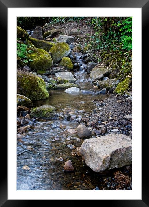 Derwent Valley Stream Framed Mounted Print by Rob Cole