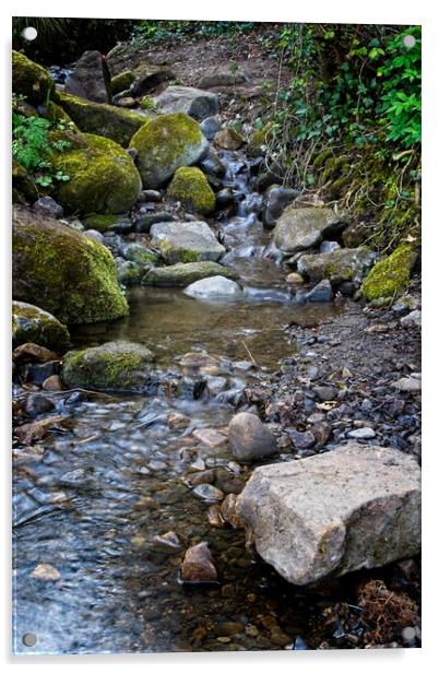 Derwent Valley Stream Acrylic by Rob Cole