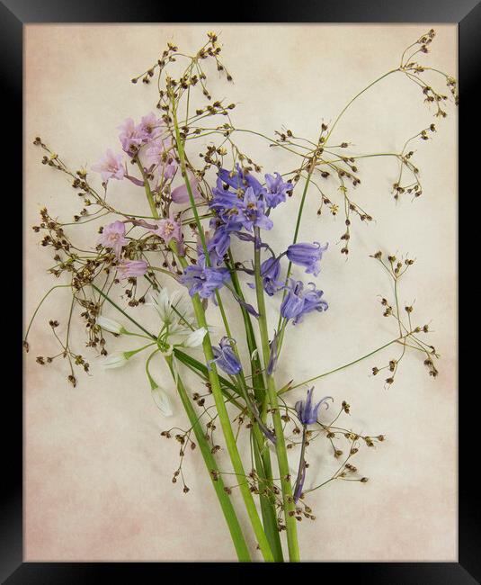 wild flowers Framed Print by kathy white