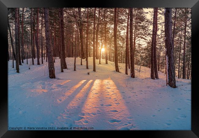Sunset in winter snowy forest Framed Print by Maria Vonotna