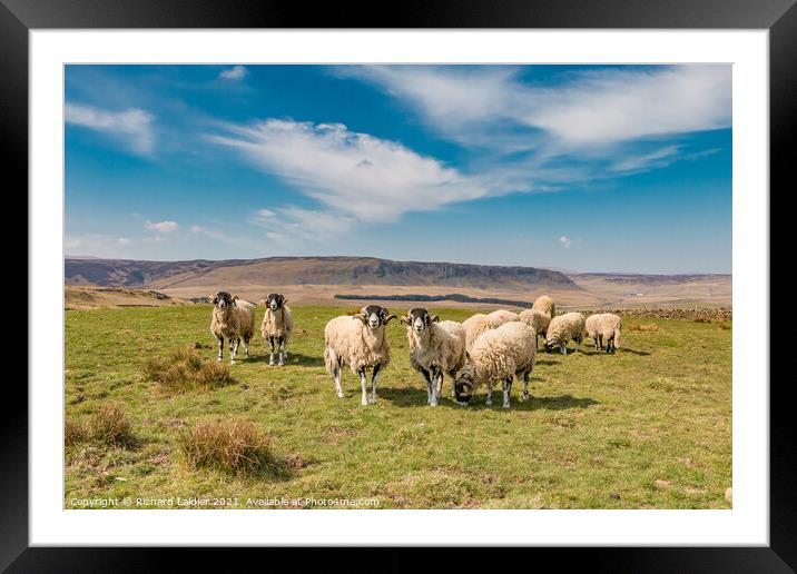 Towards Cronkley Scar from Forest in Teesdale (1) Framed Mounted Print by Richard Laidler