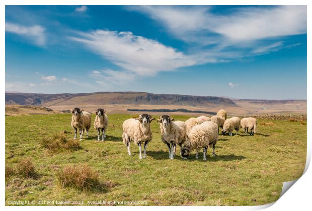 Towards Cronkley Scar from Forest in Teesdale (1) Print by Richard Laidler