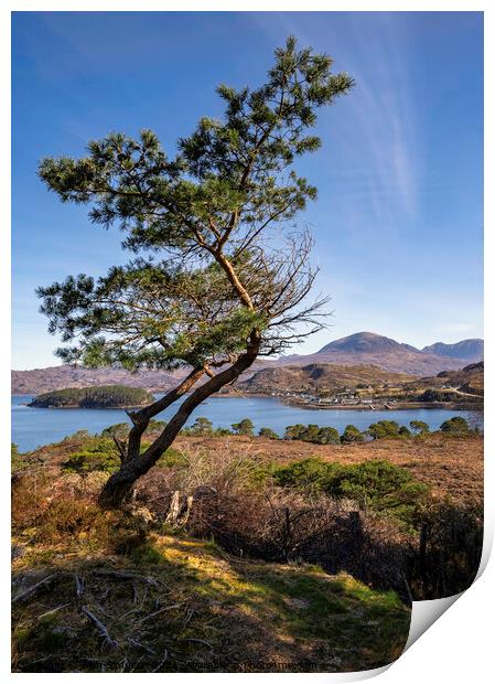 Overlooking Shieldaig Print by Alan Simpson