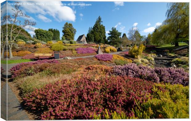 The Heather Collection, Rodney Gardens, Perth Canvas Print by Navin Mistry