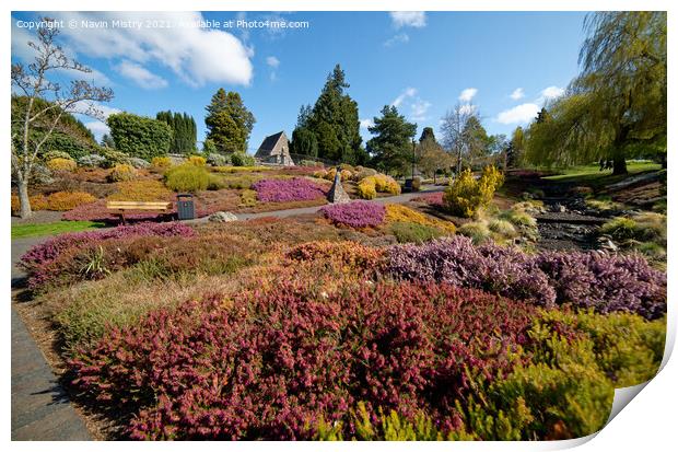 The Heather Collection, Rodney Gardens, Perth Print by Navin Mistry