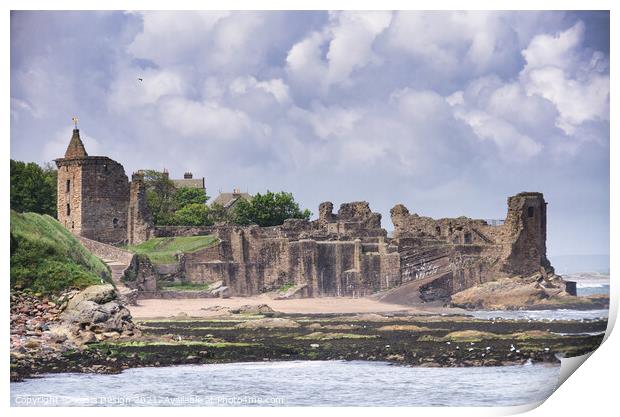 St Andrews Castle Ruins Print by Kasia Design
