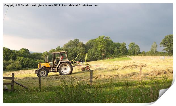 Hay making in Wales Print by Sarah Harrington-James