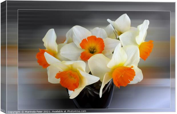 Early spring daffodils Canvas Print by Marinela Feier