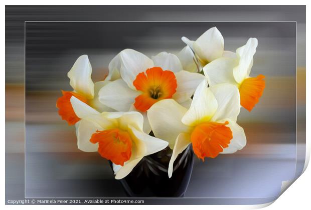 Early spring daffodils Print by Marinela Feier