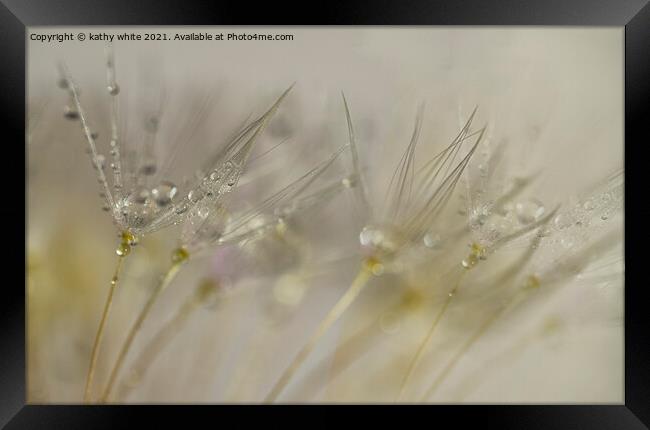 Pearls on a dandelion seedheads, close up Framed Print by kathy white