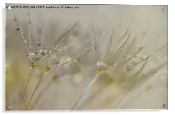 Pearls on a dandelion seedheads, close up Acrylic by kathy white