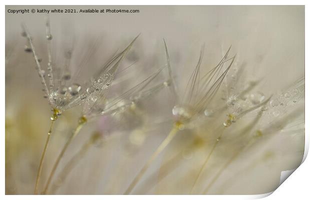Pearls on a dandelion seedheads, close up Print by kathy white