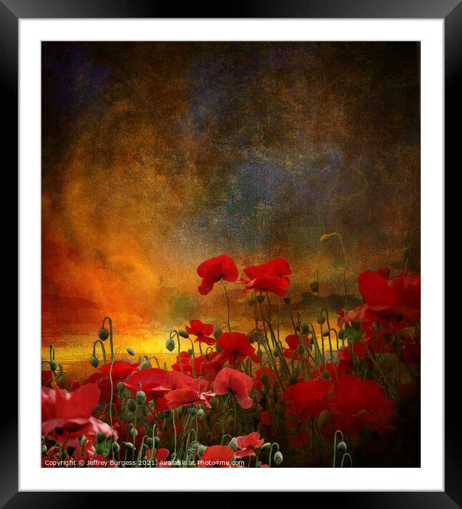 Phil's poppies Framed Mounted Print by Jeffrey Burgess