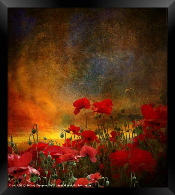 Phil's poppies Framed Print by Jeffrey Burgess