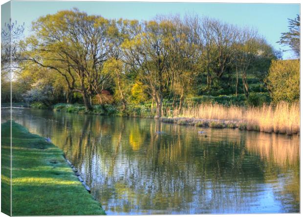 Canal Spring Trees Canvas Print by Dave Bell