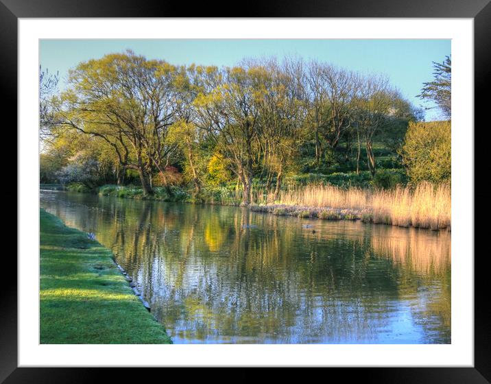 Canal Spring Trees Framed Mounted Print by Dave Bell