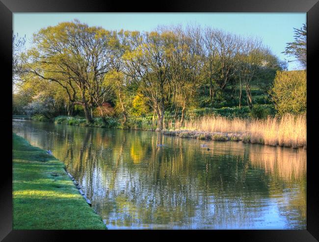 Canal Spring Trees Framed Print by Dave Bell