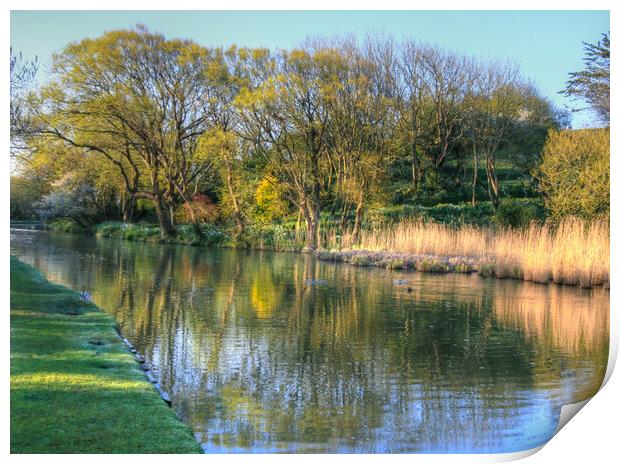 Canal Spring Trees Print by Dave Bell