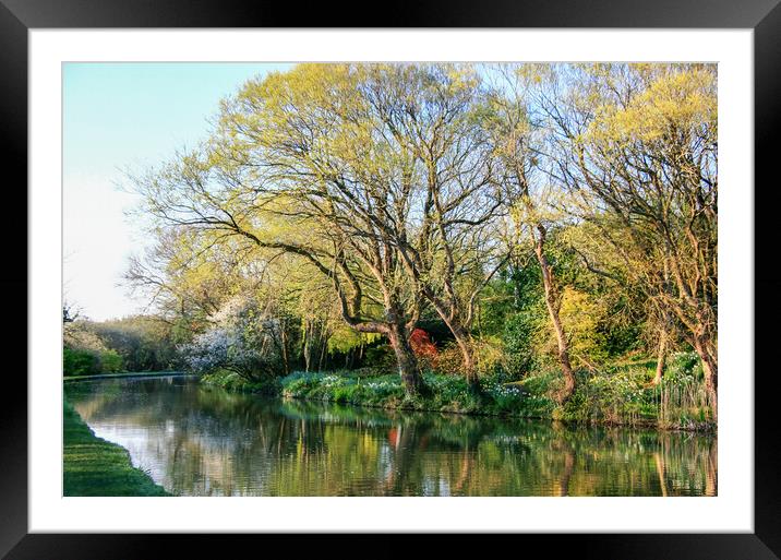 Beautiful Spring Tree Colours and  Reflections In  Framed Mounted Print by Dave Bell