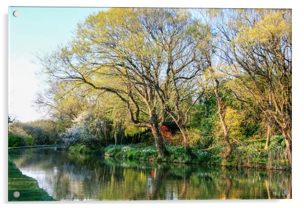 Beautiful Spring Tree Colours and  Reflections In  Acrylic by Dave Bell