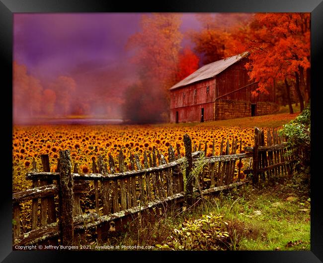 Fall is coming Framed Print by Jeffrey Burgess